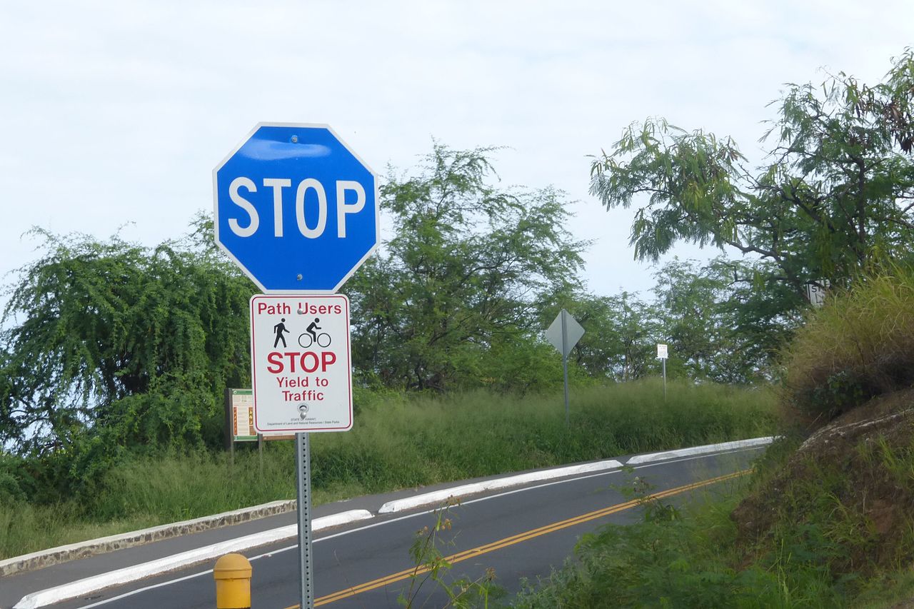 Blue Stop Sign