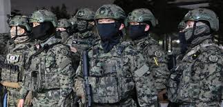 Soldiers in South Korea stand at the National Assembly Gates.